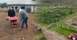 খরা অঞ্চলে খামার, বর্জ্য থেকে গ্যাস-বিদ্যুৎ; কোপ সম্মেলনে ডাক পেলেন দম্পতি